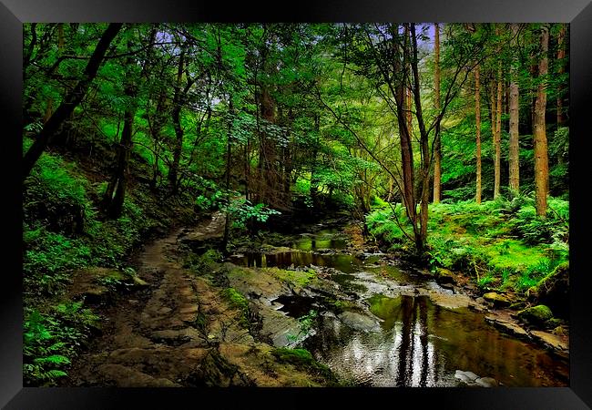  Bowlees Burn Framed Print by Richie Fairlamb