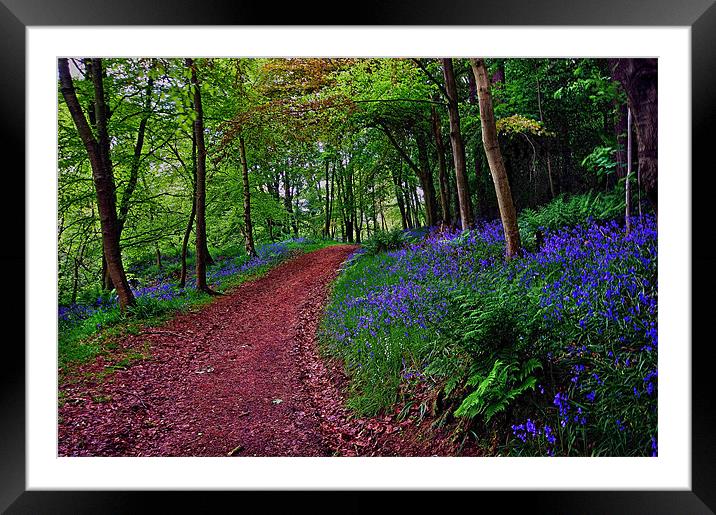 Bluebell Road Framed Mounted Print by Richie Fairlamb