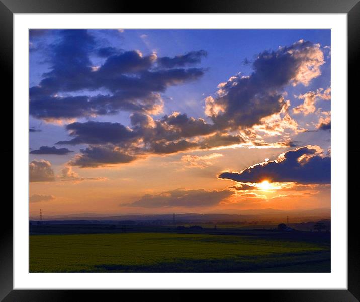 Angus sunset Framed Mounted Print by alan bain