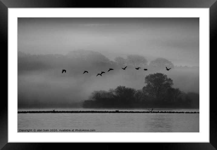 Geese at dawn over the misty Loch of Skene Framed Mounted Print by alan bain