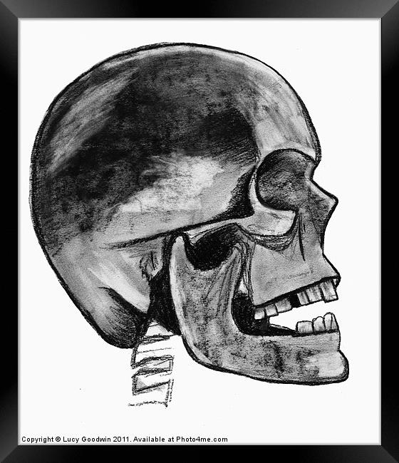 Grey Skull Framed Print by Lucy Goodwin