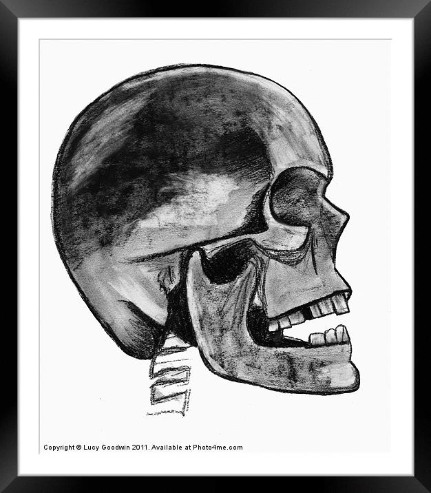 Grey Skull Framed Mounted Print by Lucy Goodwin