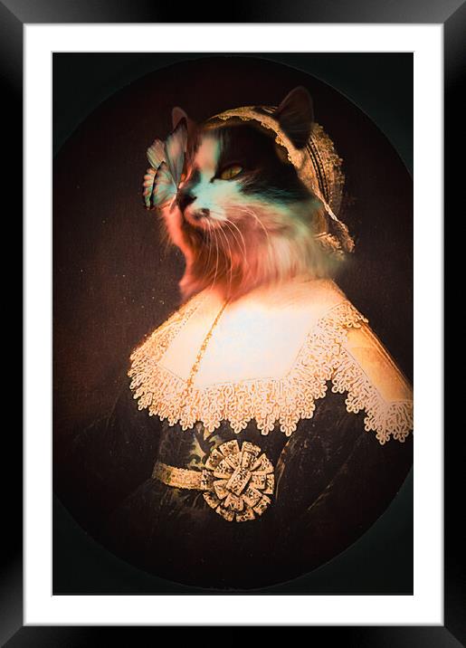 Miss Butterflypuss Framed Mounted Print by Nathan Wright