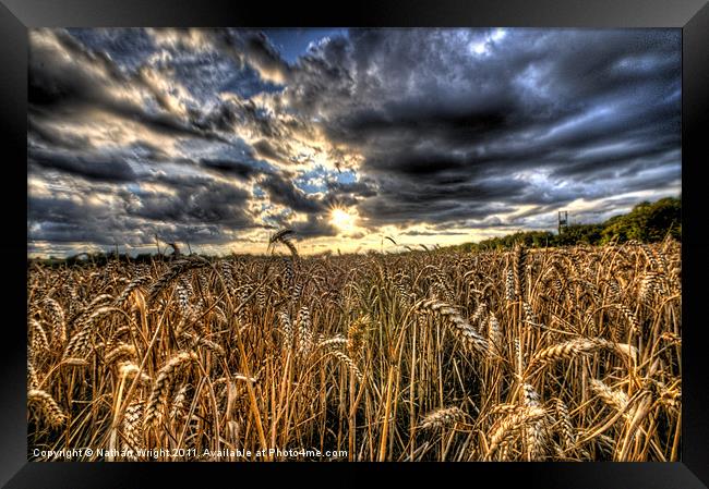 HDR field. Framed Print by Nathan Wright