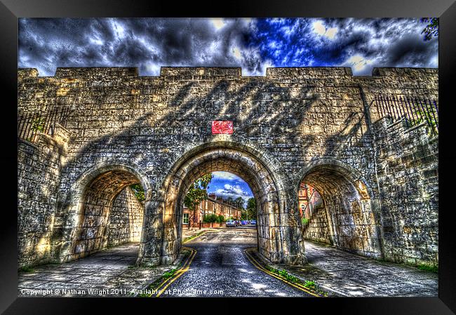 Tree arches in York Framed Print by Nathan Wright