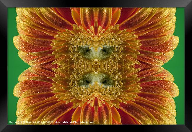 Wet kaleidoscope Framed Print by Nathan Wright