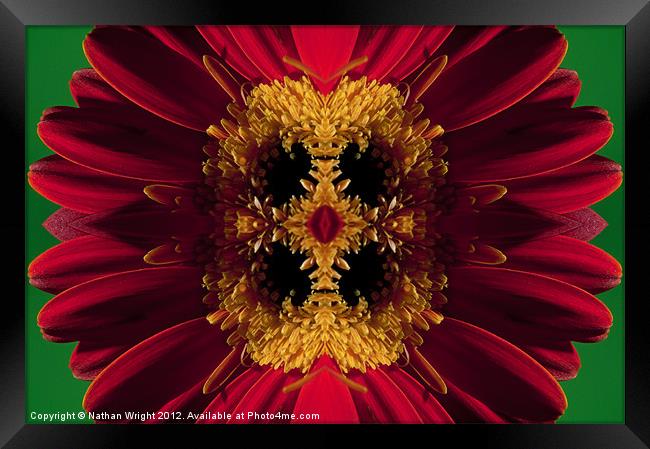 Kaleidoscope red and yellow Framed Print by Nathan Wright