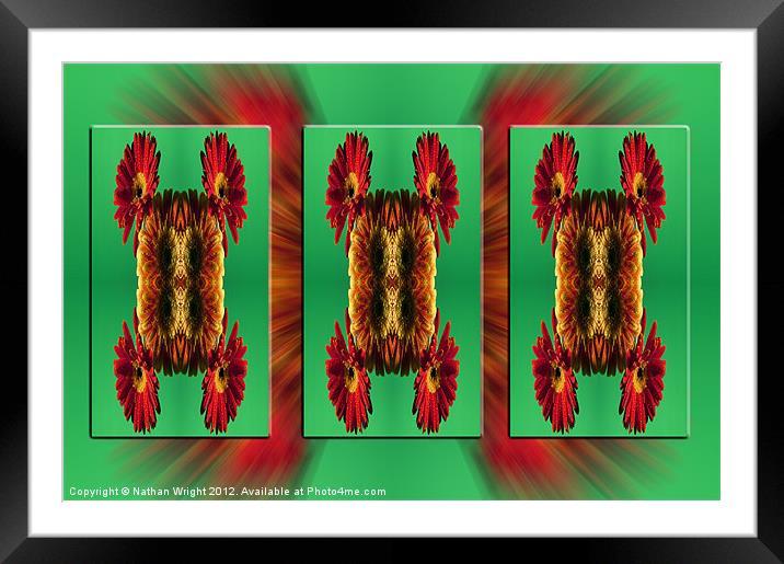 Green and red flower Framed Mounted Print by Nathan Wright