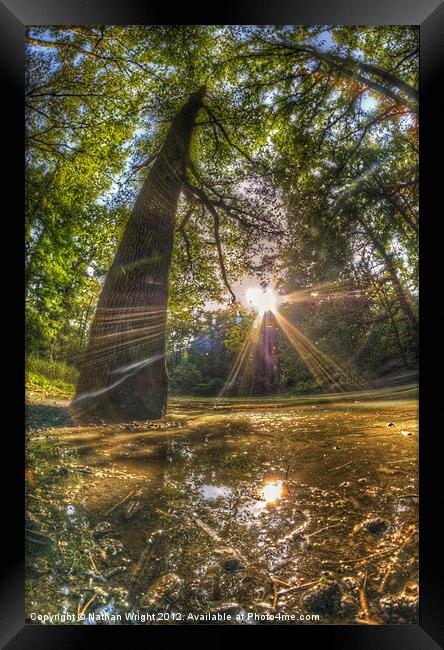 Pond in the woods Framed Print by Nathan Wright