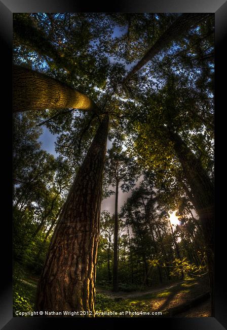 Things are looking up! Framed Print by Nathan Wright