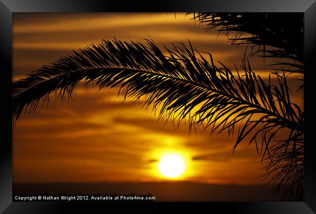Palm sunset Framed Print by Nathan Wright