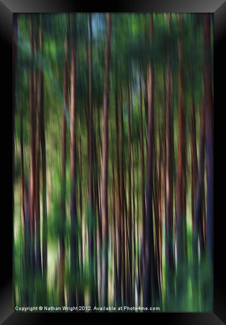 Forest blur Framed Print by Nathan Wright