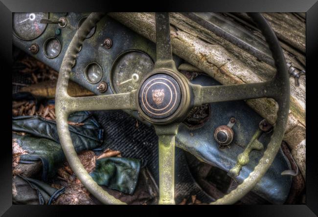Old cat wheel Framed Print by Nathan Wright