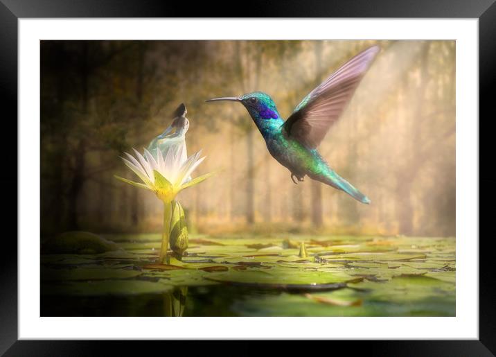 Meeting Mother Nature Framed Mounted Print by Nathan Wright
