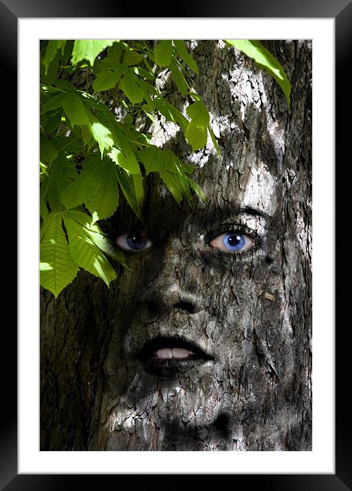 Tree woman Framed Mounted Print by Nathan Wright