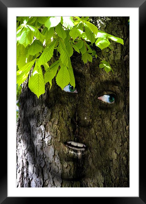 Conker tree girl Framed Mounted Print by Nathan Wright