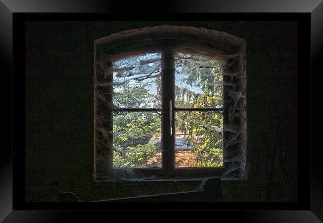 Cobwebs window Framed Print by Nathan Wright