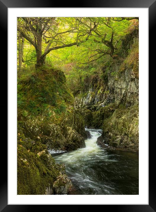 Afon Lledr Framed Mounted Print by Rory Trappe
