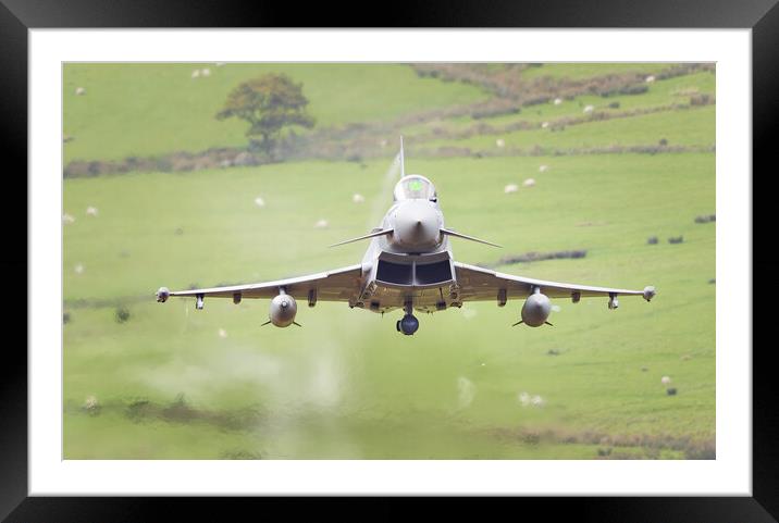RAF Typhoon head on Framed Mounted Print by Rory Trappe