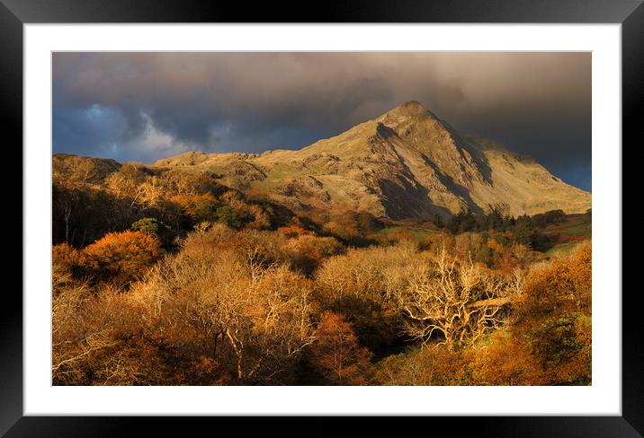 A mountain in wales called Cnicht Framed Mounted Print by Rory Trappe