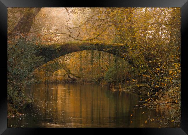 Ivy bridge - Maentwrog Framed Print by Rory Trappe