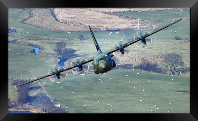 RAF C130J Hercules Framed Print by Rory Trappe
