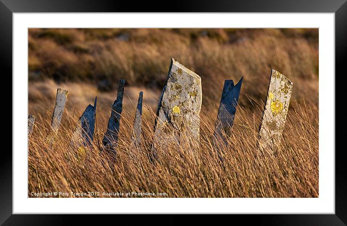 Standing to attention Framed Mounted Print by Rory Trappe