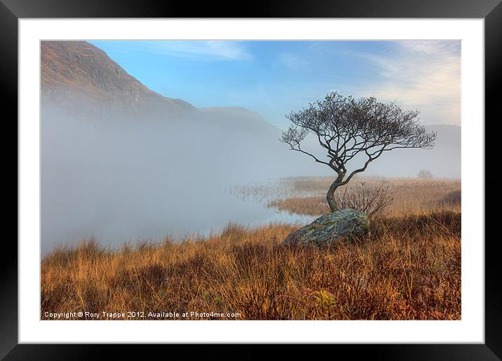 Llyn Dinas misty morning Framed Mounted Print by Rory Trappe