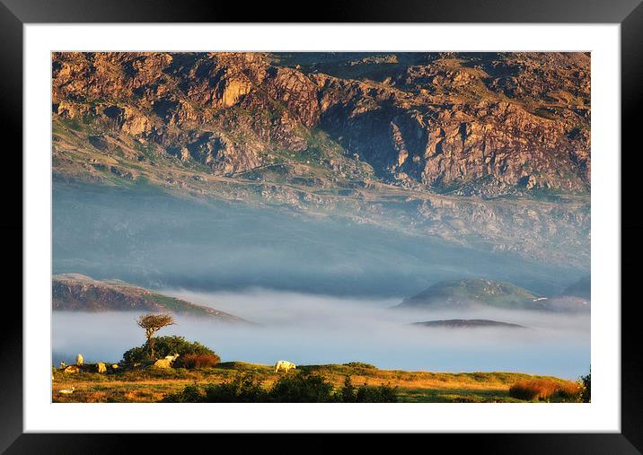 Cydnerth near Llan Ffestiniog Framed Mounted Print by Rory Trappe