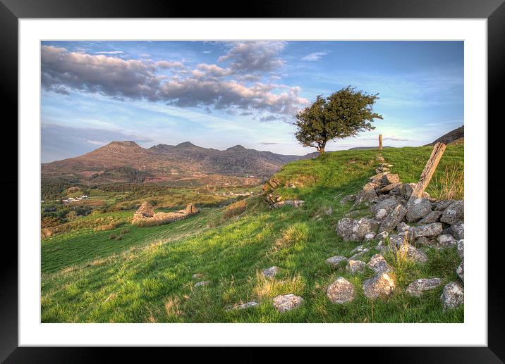 Path up to Manod Lake Framed Mounted Print by Rory Trappe
