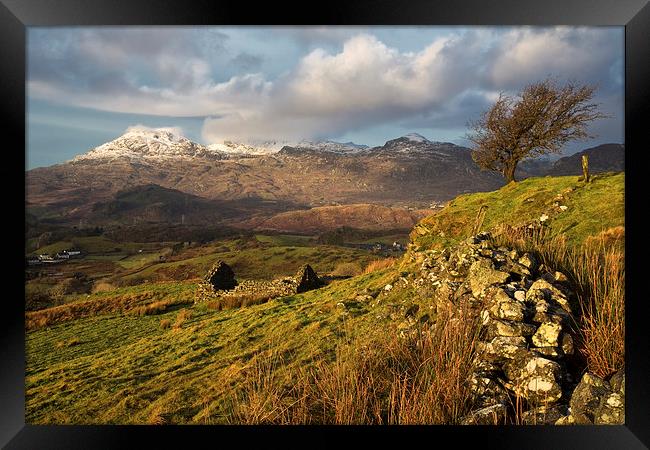 Snow on the Moelwyn Framed Print by Rory Trappe