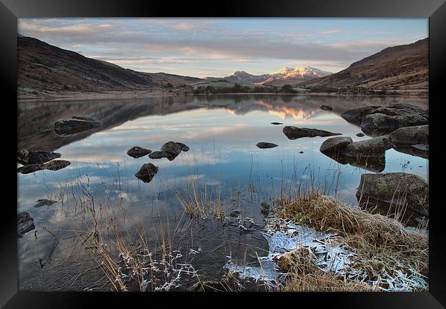  On thin ice Framed Print by Rory Trappe