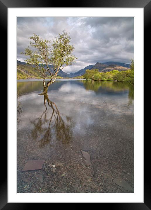  Llyn Padarn Framed Mounted Print by Rory Trappe
