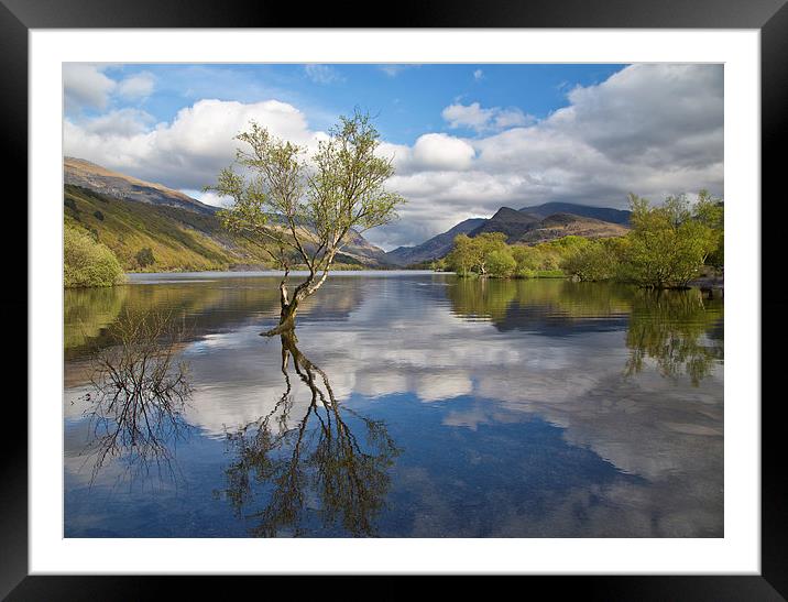 Llyn Padarn Framed Mounted Print by Rory Trappe