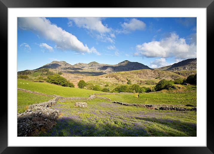  Moelwyn range Framed Mounted Print by Rory Trappe