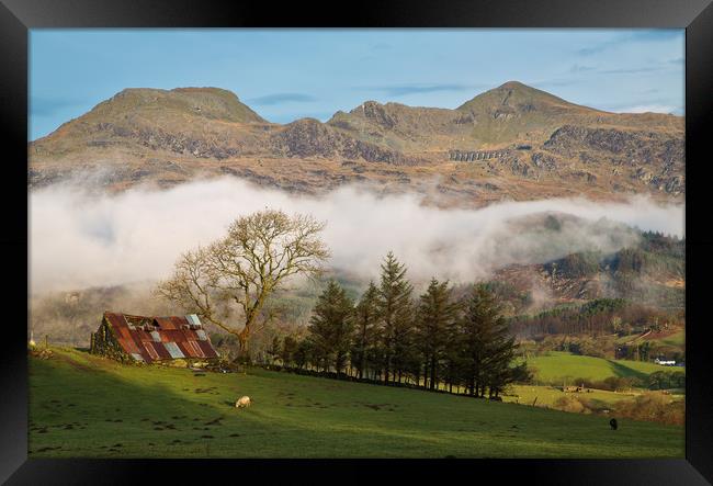 The Moelwyn range from the Bwlch road Framed Print by Rory Trappe