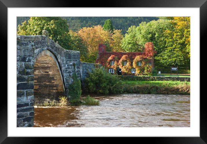 Autumn at Llanrwst Framed Mounted Print by Rory Trappe