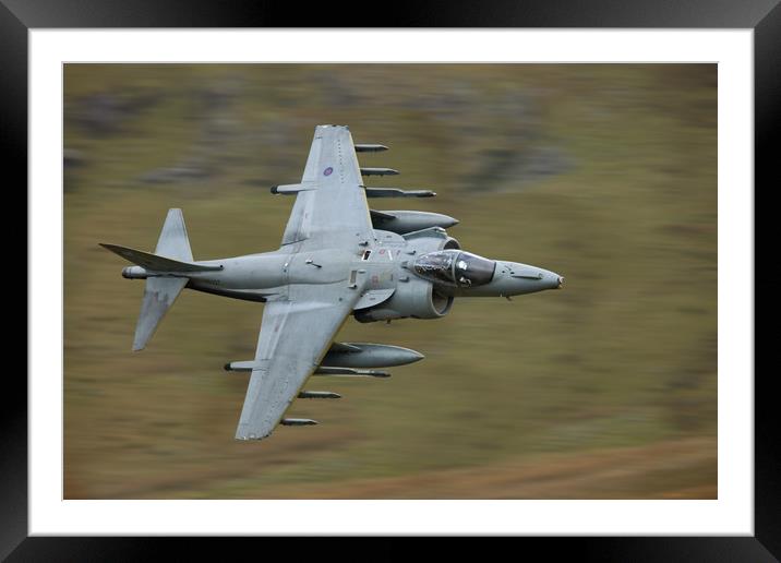 RAF Harrier GR9A Framed Mounted Print by Rory Trappe