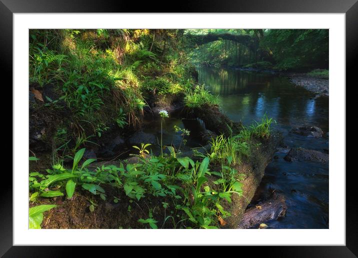 Afon Prysor Framed Mounted Print by Rory Trappe