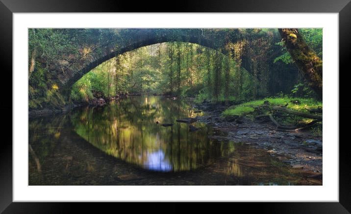 Rainforest bridge Framed Mounted Print by Rory Trappe
