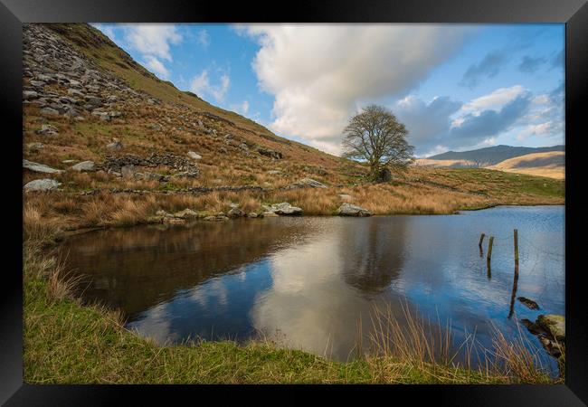 Llyn y Dywarchen Framed Print by Rory Trappe