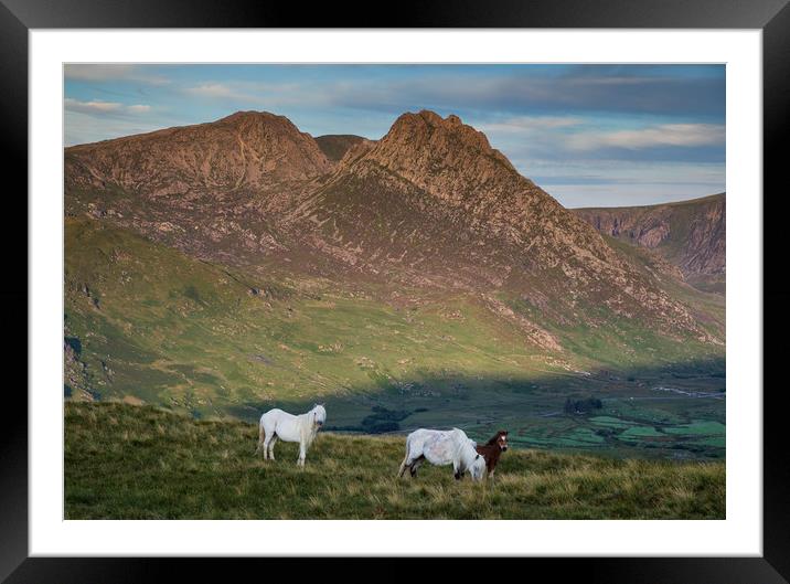 Tryfan and the Carneddau  Ponies Framed Mounted Print by Rory Trappe