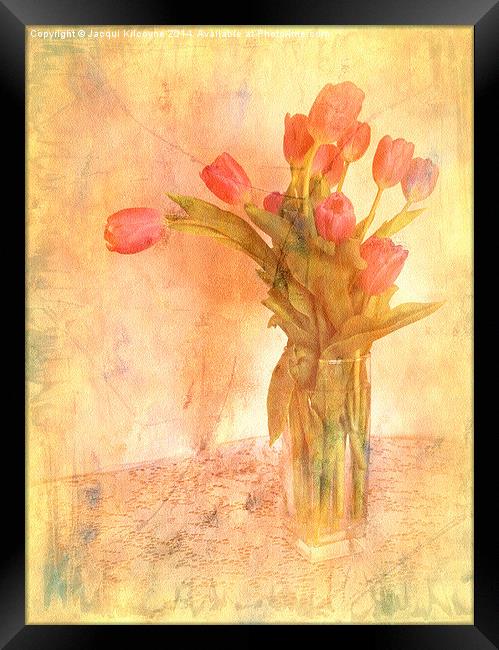 Tulip Time Framed Print by Jacqui Kilcoyne