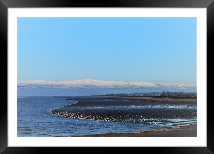 Snow Across the Bay Framed Mounted Print by Jacqui Kilcoyne