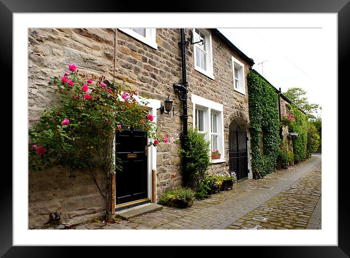 Roses Round the Door. Framed Mounted Print by Jacqui Kilcoyne