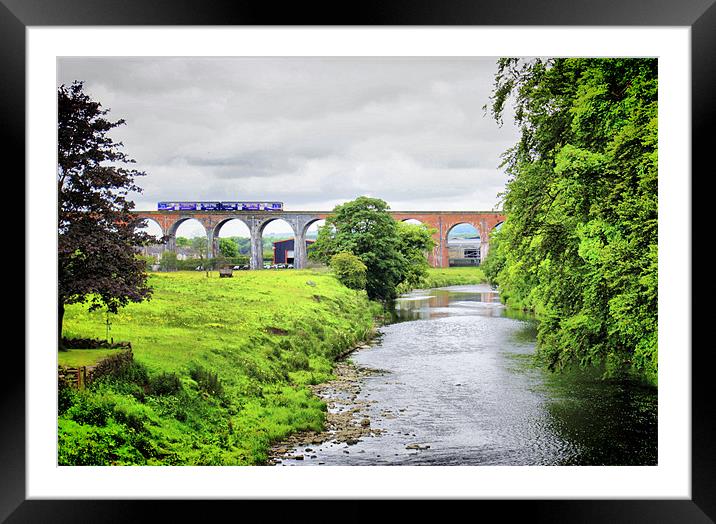 Whalley Viaduct. Framed Mounted Print by Jacqui Kilcoyne