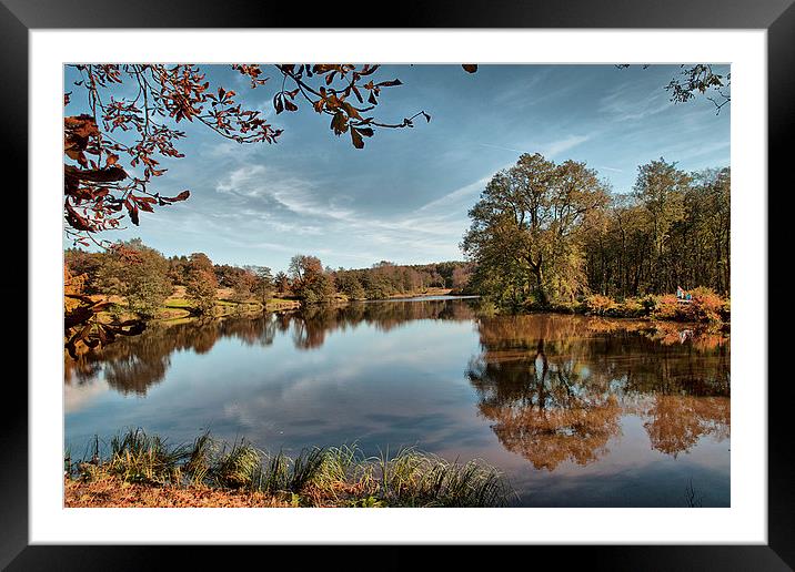  Autumn reflections Framed Mounted Print by Irene Burdell