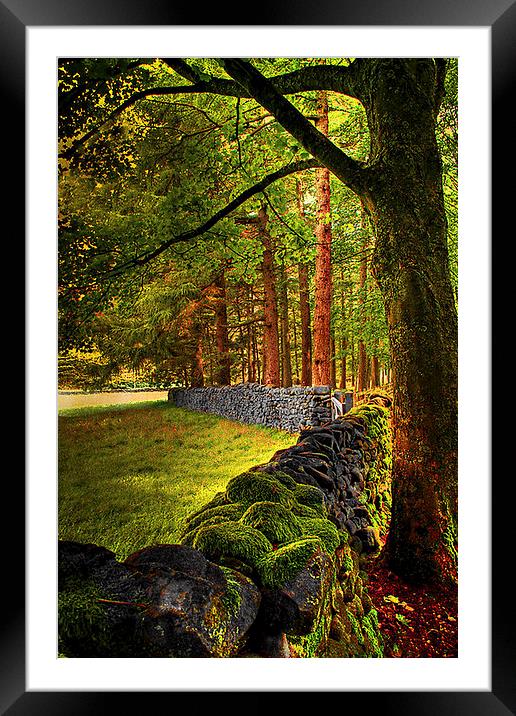  Trees in the Trough . Framed Mounted Print by Irene Burdell