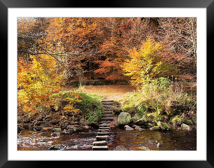  Autumn  Colours  Framed Mounted Print by Irene Burdell