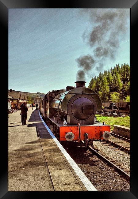  Steam Train . Framed Print by Irene Burdell